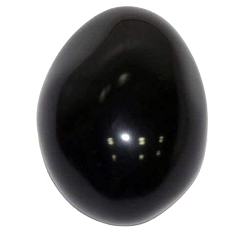 Pujahome Natural Black Stone Shaligram Shila for Pooja for Divine Blessings