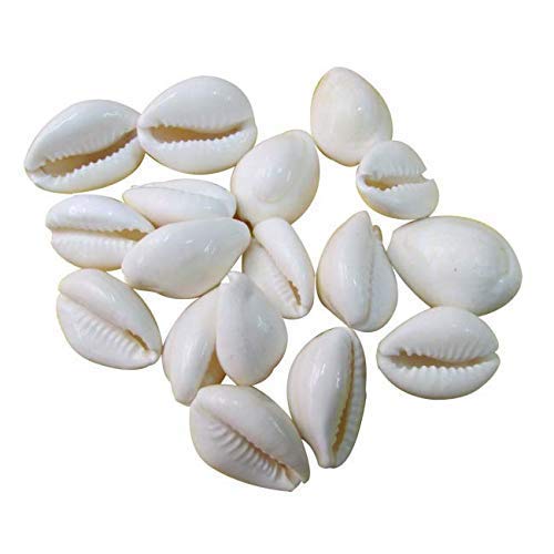 Pujahome Laxmi Puja Essentials Set: Red Gunja/Chirmi Beads, Kamal Gatte, White Kauri/Kaudi, & Gomati Chakra (11 pcs Each) - Ideal for Diwali Worship & Protection