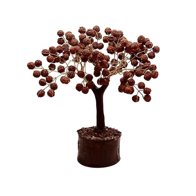 पूजाहोम 54/108 मनकों वाला रुद्राक्ष वृक्ष, घर, कार्यालय में रहने के लिए 5 मुखी रुद्राक्ष वृक्ष