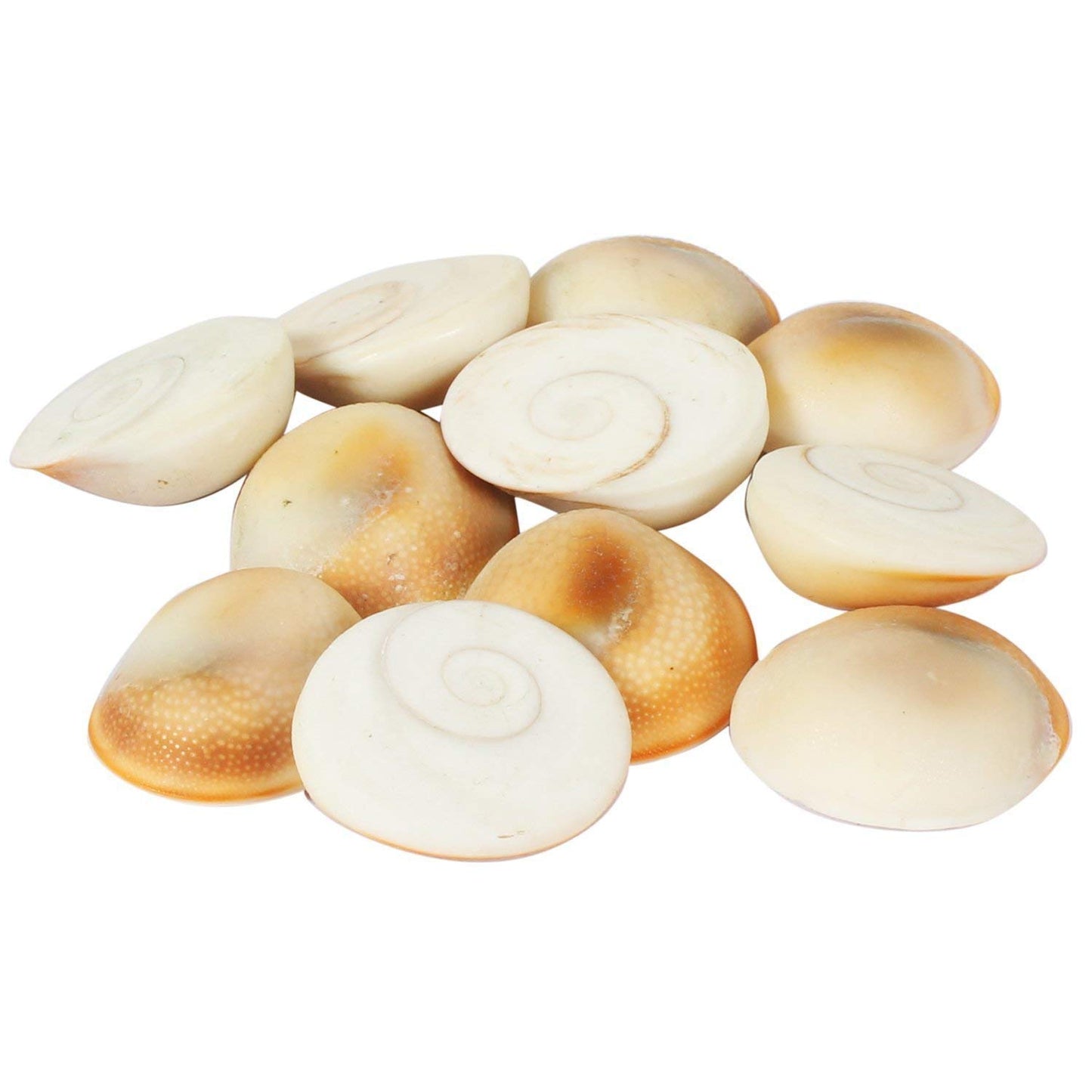 Pujahome Laxmi Puja Essentials Set: Red Gunja/Chirmi Beads, Kamal Gatte, White Kauri/Kaudi, & Gomati Chakra (11 pcs Each) - Ideal for Diwali Worship & Protection