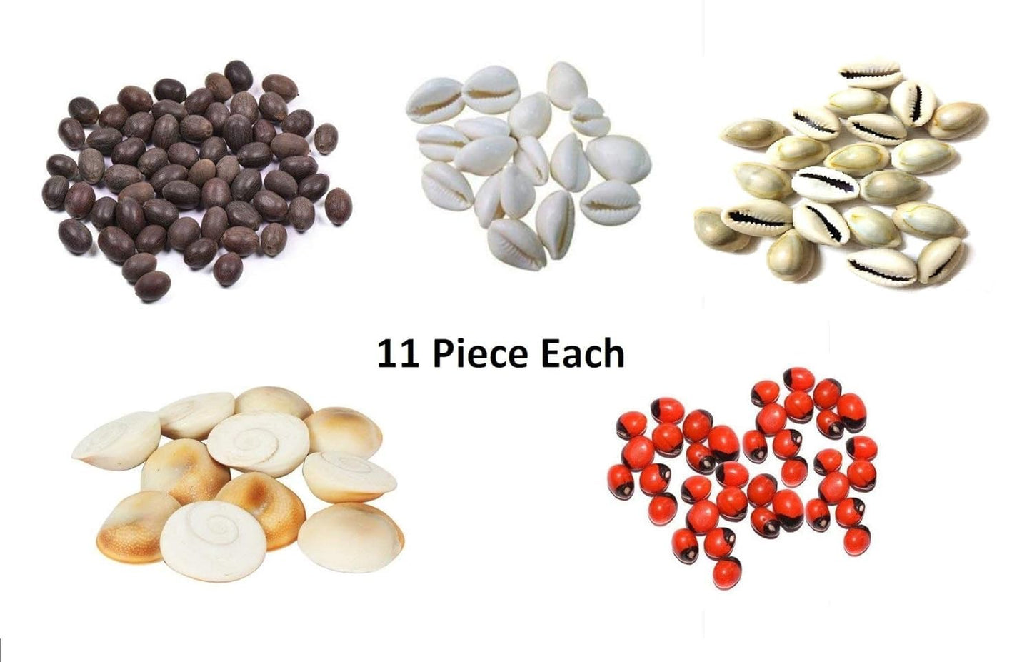 Pujahome Laxmi Puja Essentials Set: Red Gunja/Chirmi Beads, Kamal Gatte, White Kauri/Kaudi, & Gomati Chakra (11 pcs Each) - Ideal for Diwali Worship & Protection