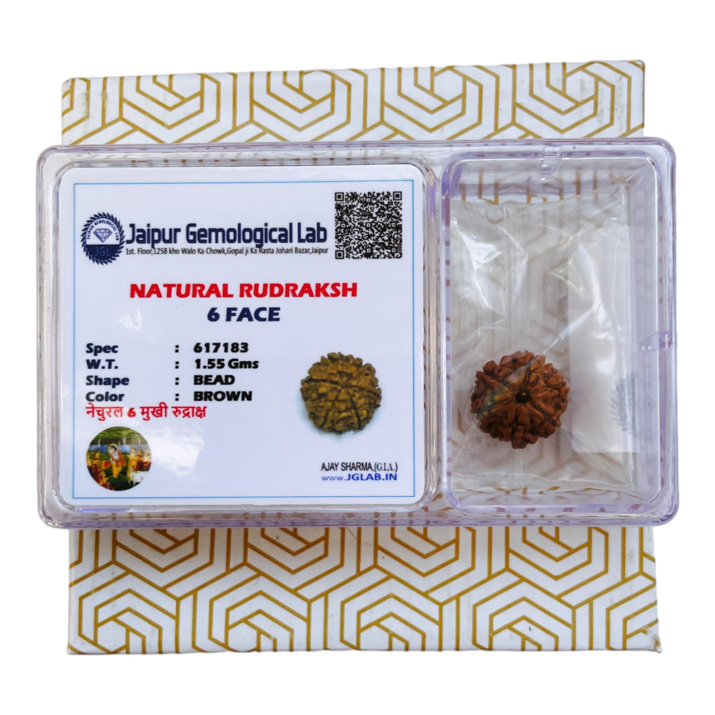 Pujahome 6 Mukhi Rudraksha Original Lab Certified Brown