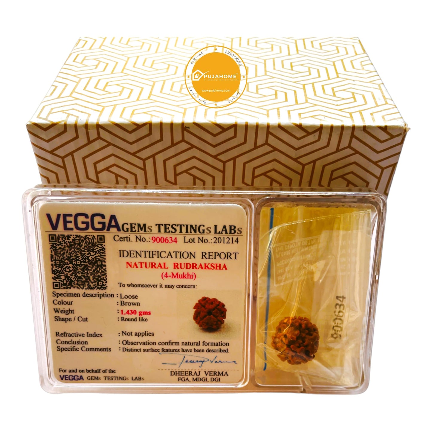 4 Mukhi Rudraksha Original Lab Certified Brown