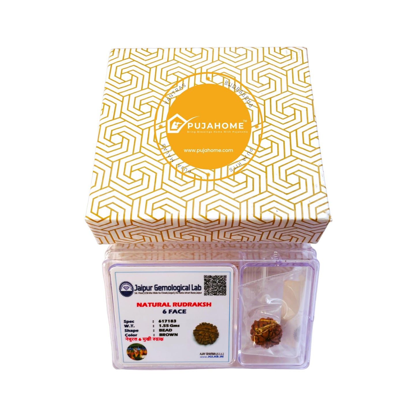 Pujahome 6 Mukhi Rudraksha Original Lab Certified Brown
