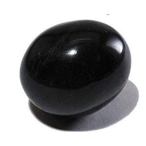 Pujahome Natural Black Stone Shaligram Shila for Pooja for Divine Blessings