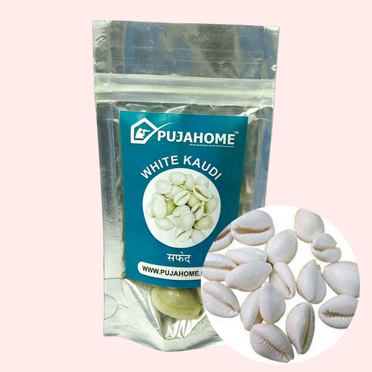 Pujahome White Kodi/Laxmi Cowdi/Kauri/Kowri/Cowry/Kaudi/Cowrie