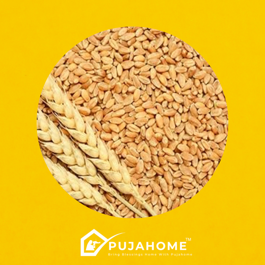 Pujahome Organic Nature Wheat For Puja