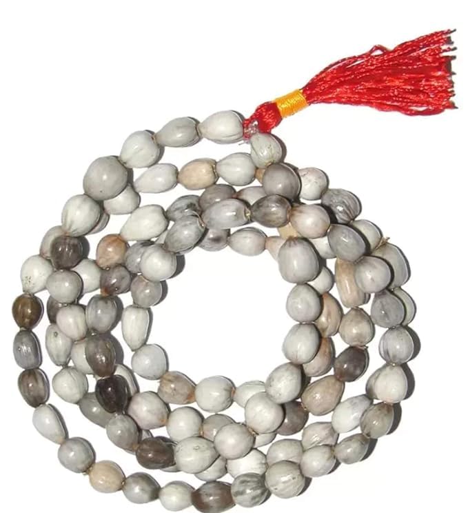 Pujahome Vaijanti Mala/Natural Vaijanti Mala/Vaijanti Mala Original 108 Beads