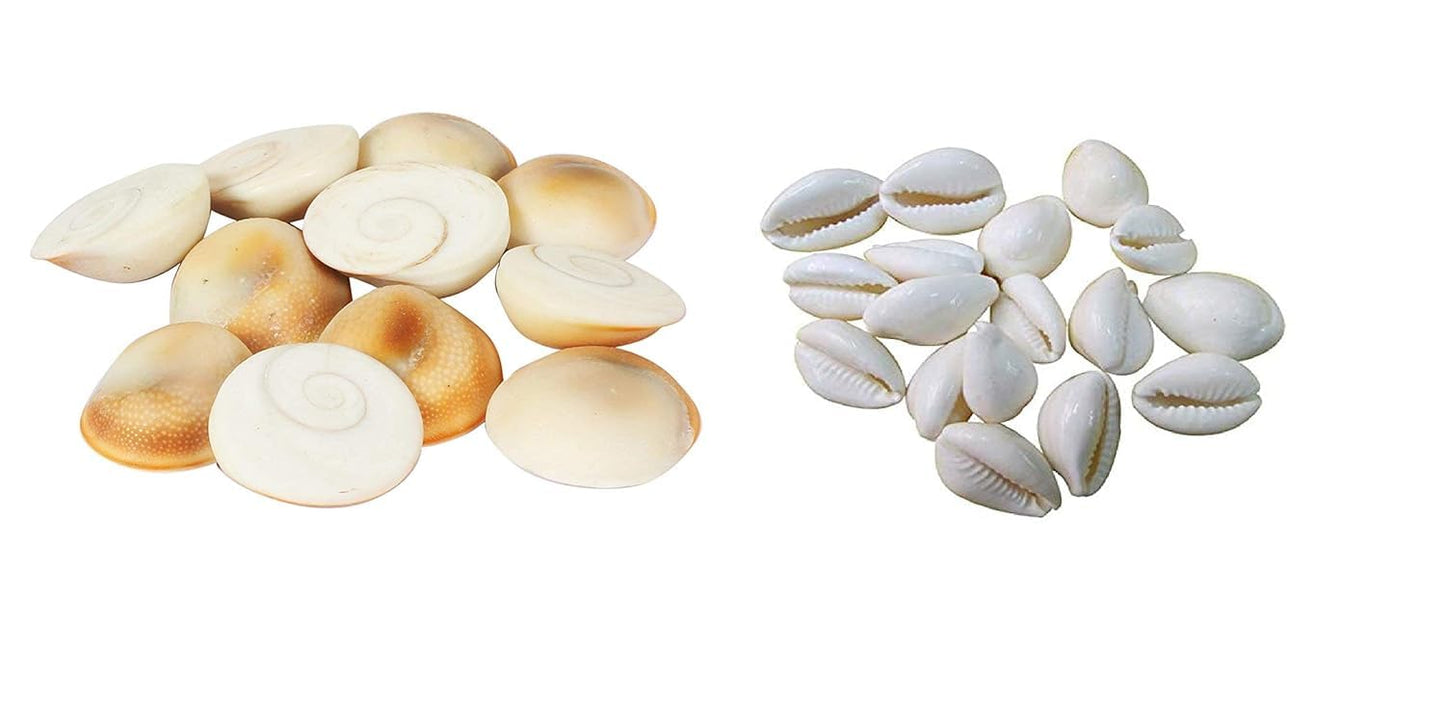 Pujahome Combo: Gomati Chakra & Lakshmi Peeli/Kawri Kodi Peeli White Cowrie Sea Shell - Authentic Set of 11 Pieces Each
